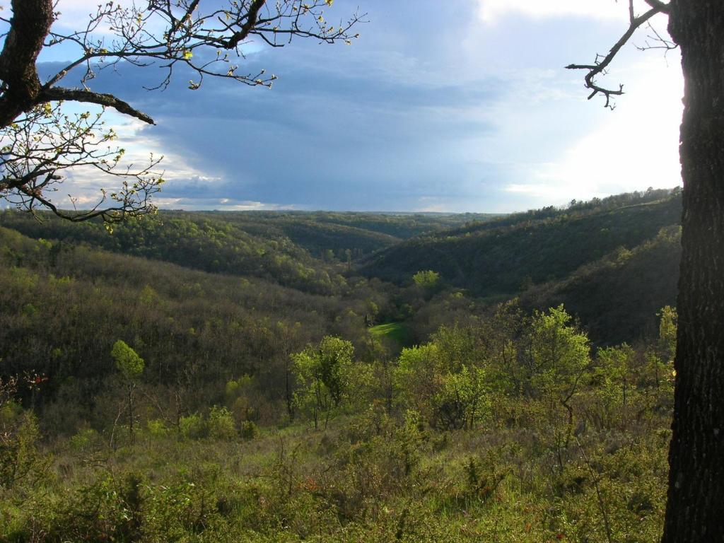 Les Hauts D'Albas Albas  Værelse billede
